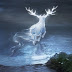 Pottermore: O que um Patrono pode dizer sobre seu personagem?