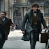 "O Pelúcio está de volta... e é capaz dele ter bebês" - entrevista com o elenco de Os Crimes de Grindewald